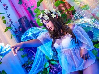 EvaaLux webcam show Image 3