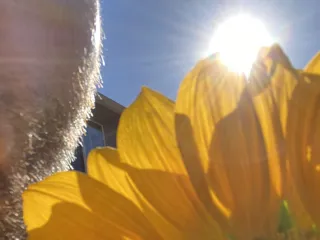 Woodiesays_22 – webcam model profile photo