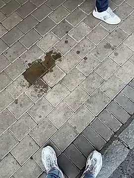 IamFranchely – webcam model profile photo Image 19