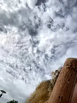 akamilasweetcm101 – webcam model profile photo Image 14