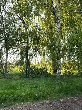 akamilasweetcm101 – webcam model profile photo Image 2