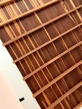 JoiDivision webcam show Image 11