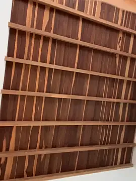 JoiDivision webcam show Image 16