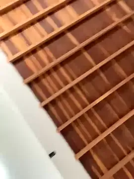 JoiDivision webcam show Image 2