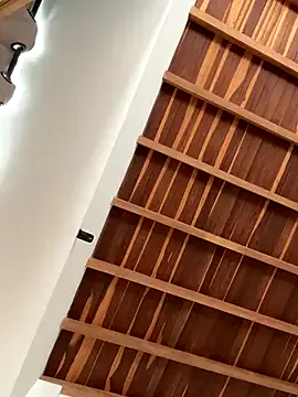 JoiDivision webcam show Image 6