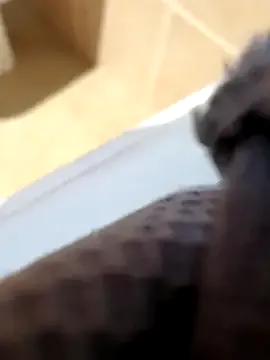 asianluvbunny – webcam model profile photo Image 2