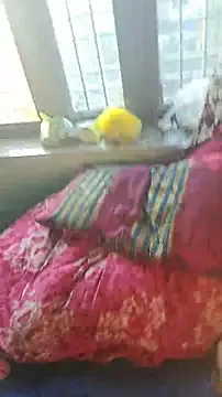 CarleeVelvet – webcam model profile photo Image 5