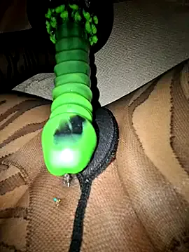 akamilasweetcm101 – webcam model profile photo Image 9