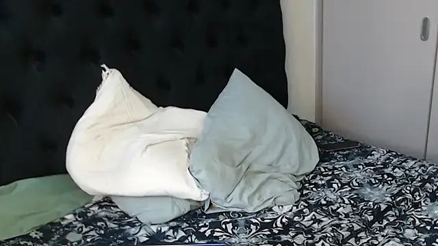 AYW-21 webcam show Image 2