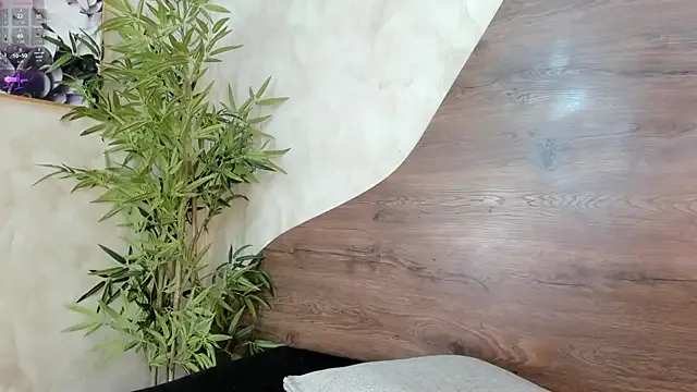 Zemer_secret51 webcam show Image 16