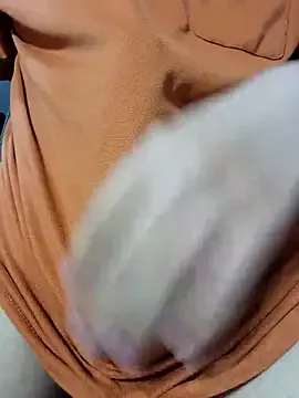 TiffaniLoveLive – webcam model profile photo Image 14