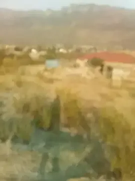 maxx_william – webcam model profile photo Image 11