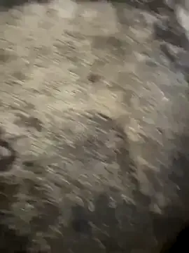 LizaGold40 – webcam model profile photo Image 5