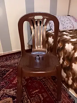 Luna_Sanders – webcam model profile photo Image 10