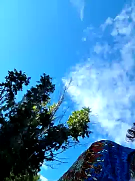 LynxRosenn – webcam model profile photo Image 17