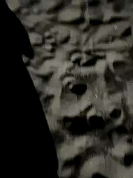 akamilasweetcm101 – webcam model profile photo Image 12